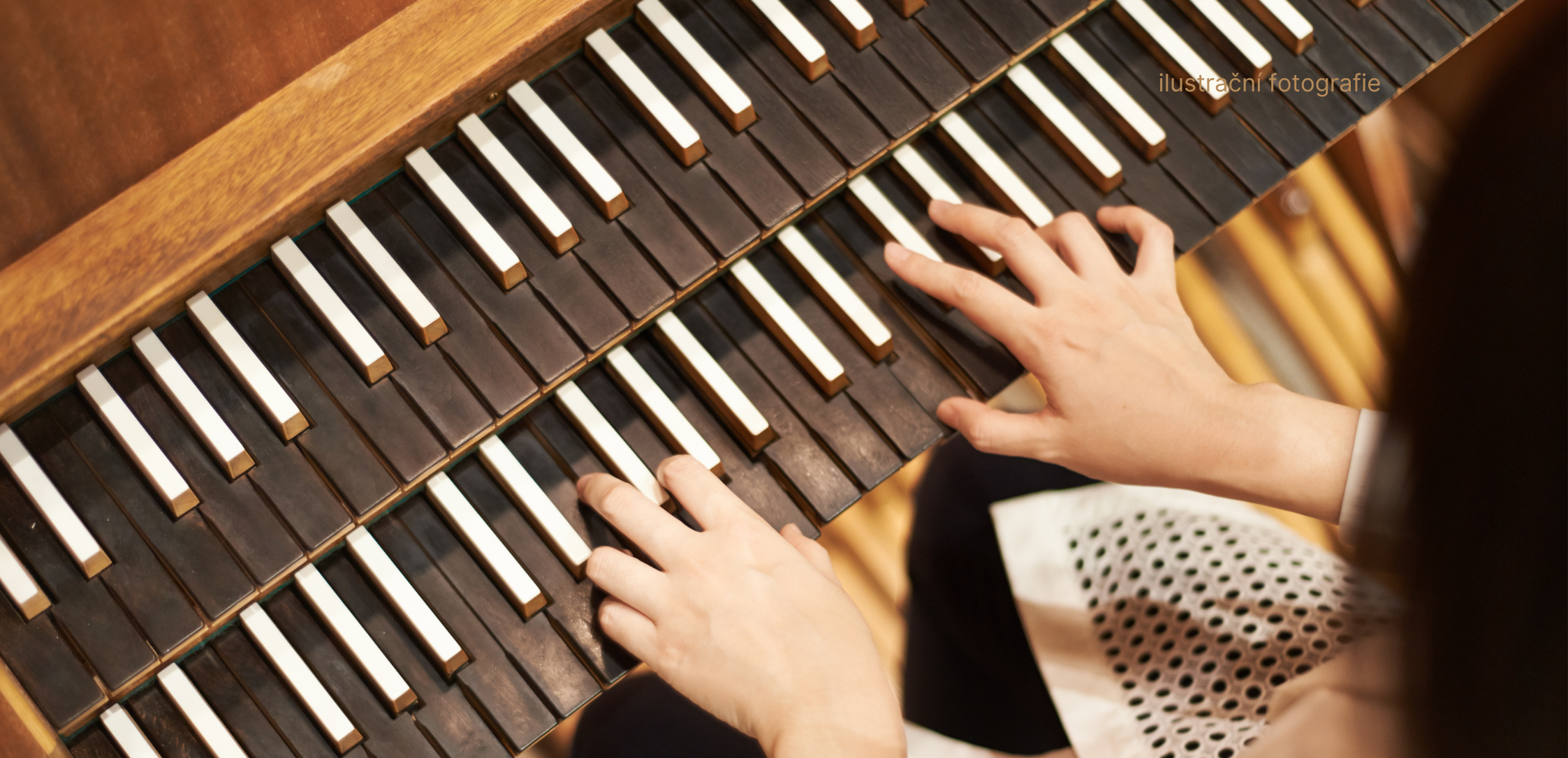 Organ Gala Concert